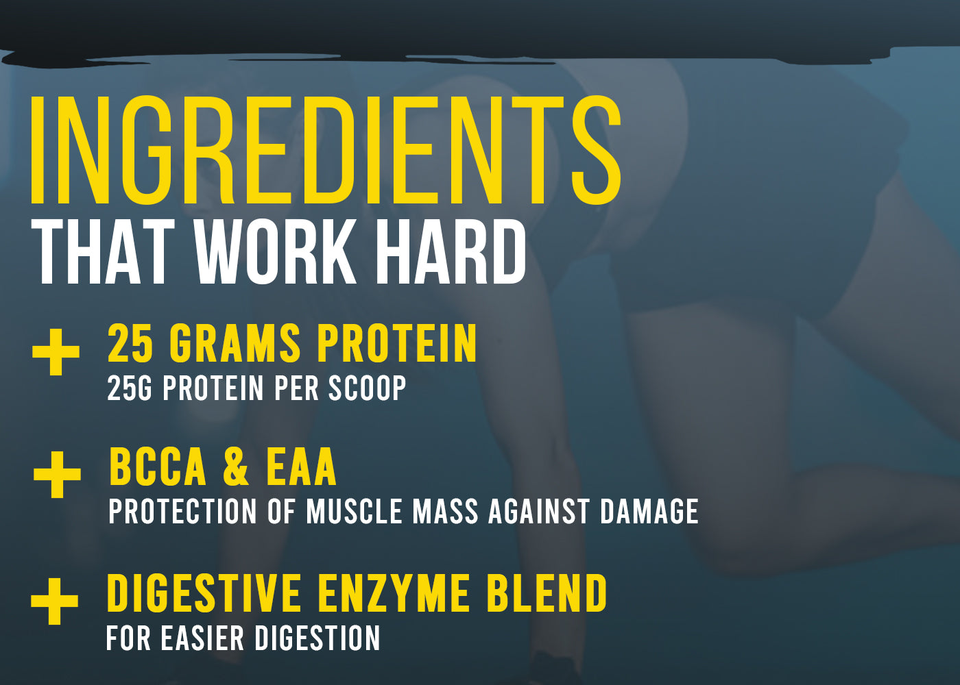 Corebolics Whey Gold - Isolate Protein( 4 kg, 133 Servings ) + FREE GYM BAG And Shaker