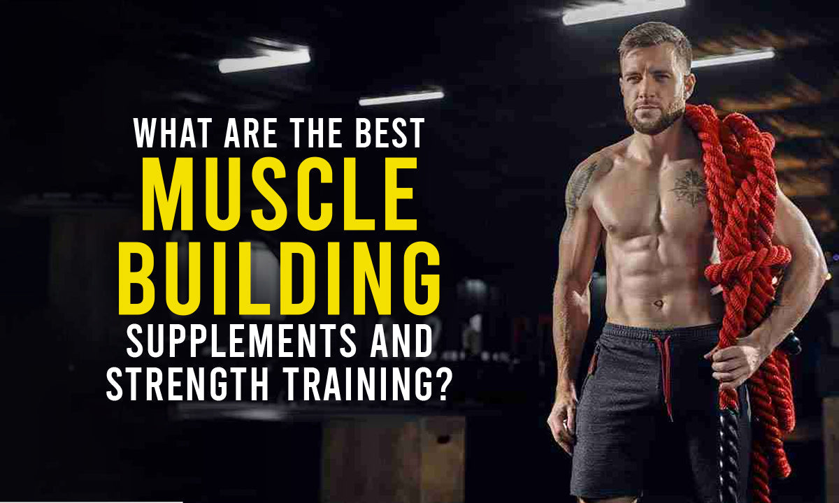 news/best-supplements-for-muscle-building-and-strength-training