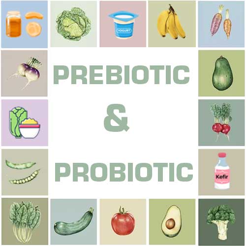 news/the-two-factors-of-good-gut-health-probiotics-and-prebiotics