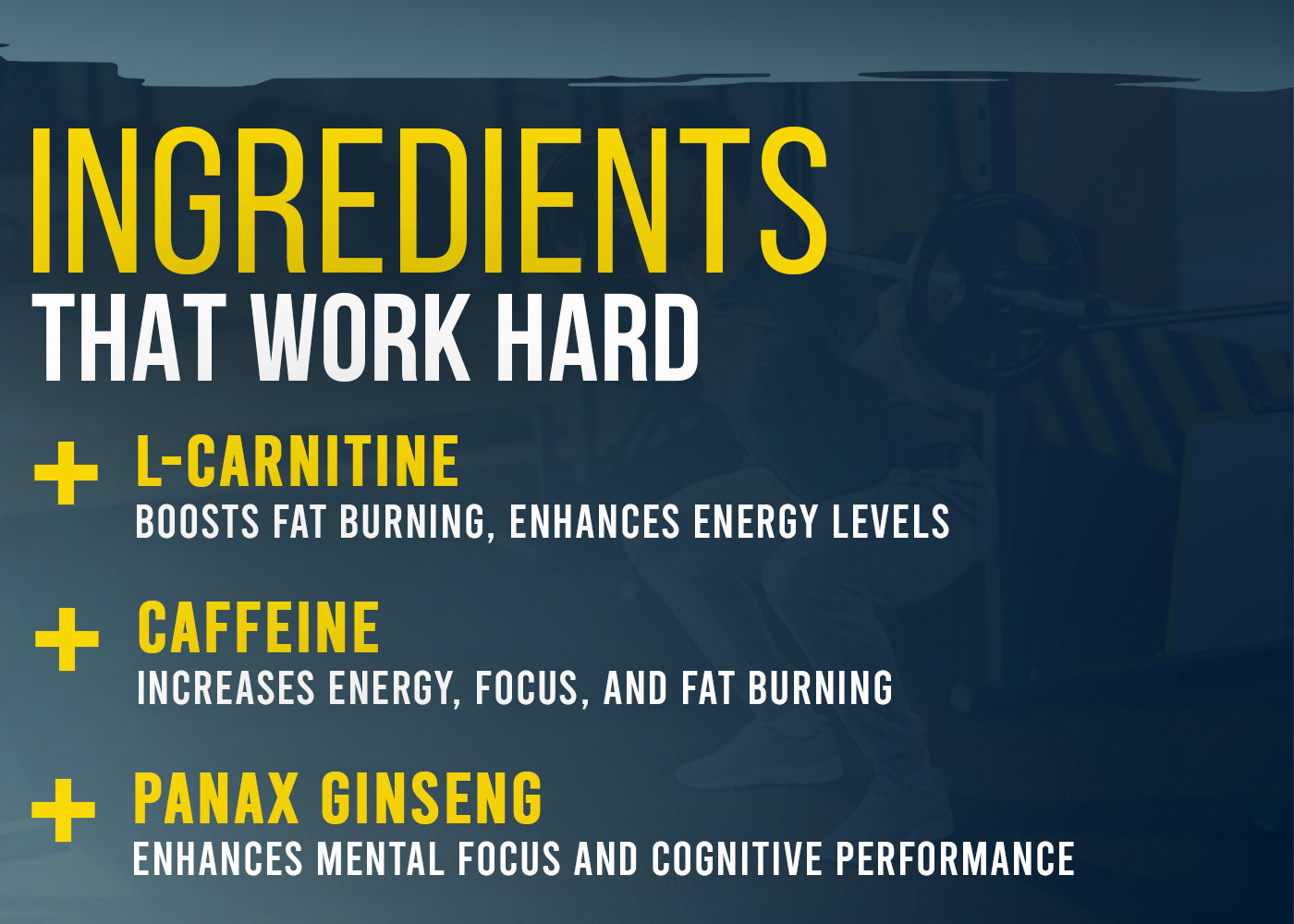 L-Carnitine Capsules for Fat Burn & Energy