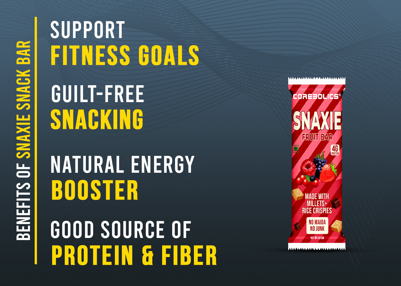 Snaxie bar Fruit bar