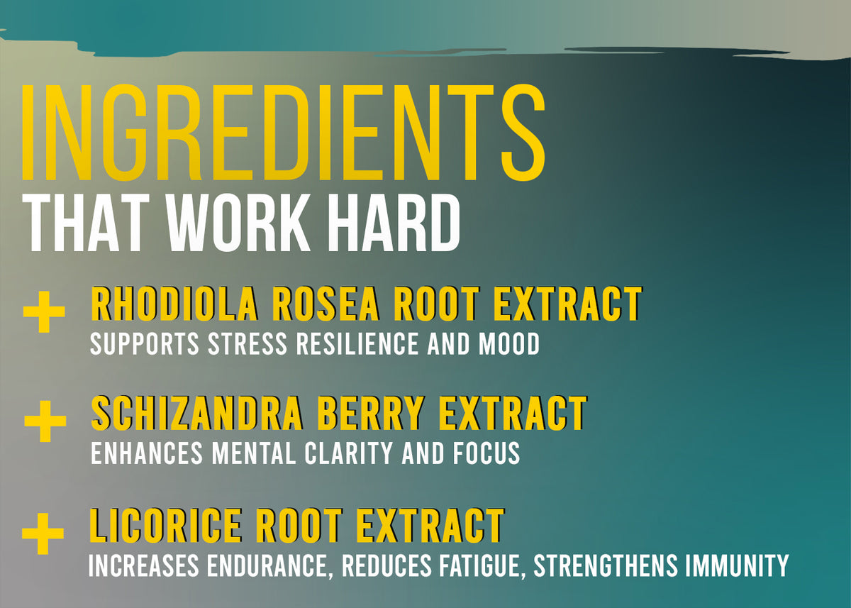 Corebolics No-Stress key ingredients: rhodiola, schisandra, licorice root
